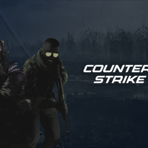 Precision Input Module